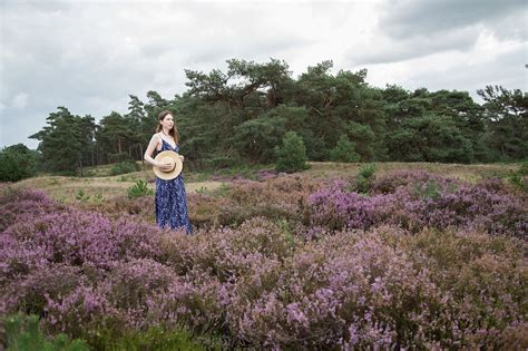 Guide To Exploring The Breathtaking Nature of Nationaal Park De Hoge Veluwe