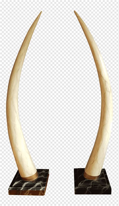 Ivory Tusk Elephant Horn Chairish, elephant, light Fixture, animals, room png | PNGWing