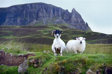 Scotland's Majestic Isle of Skye by Rick Steves