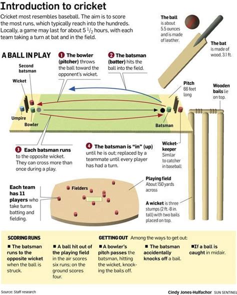 Image result for infographic on the rules of cricket | Cricket, Cricket ...