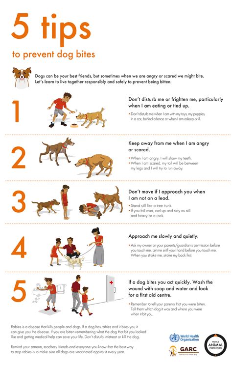 Human rabies prevention and management