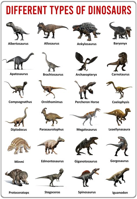 Types of Dinosaurs With Pictures and Names - ilmPak in 2023 ...