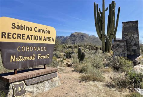 Sabino Canyon - Attraction Guide | TucsonTopia