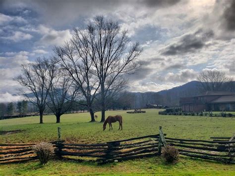 Dillard House, Dillard, Georgia | Natural landmarks, Dillard house, My travel