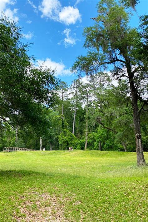 Suwannee River State Park history, Live Oak Florida — SOUTH OF SEEDS