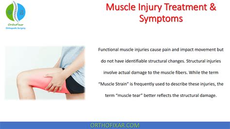 Muscle Injury Treatment & Symptoms • Easily Explained | 2024