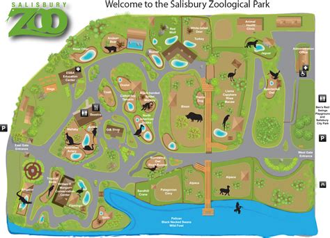 Zoo in Maryland/Delmarva | Zoo, Zoo map, Cool things to build