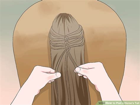 How to Plait a Horse's Tail (with Pictures) - wikiHow