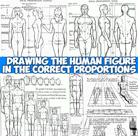 proportions figure drawing – How to Draw Step by Step Drawing Tutorials