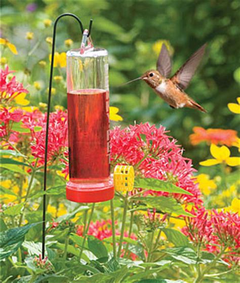 Complete Hummingbird Garden Kit - Traditional - Bird Feeders - by Burpee