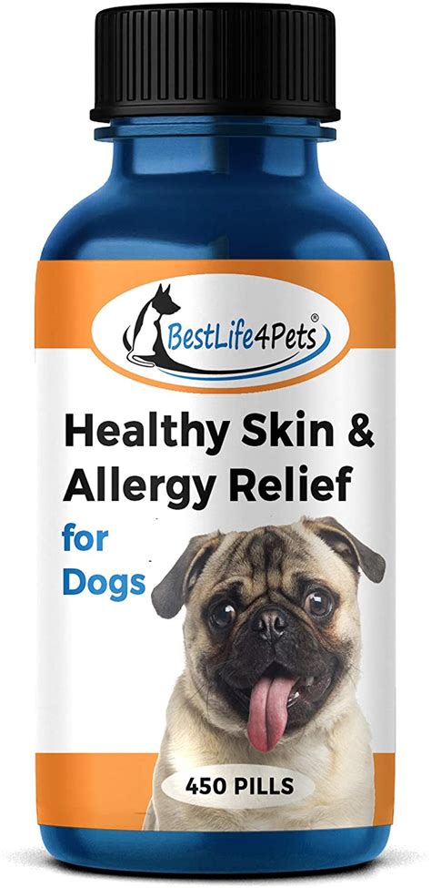 What Kind Of Allergy Medicine Can You Give A Dog