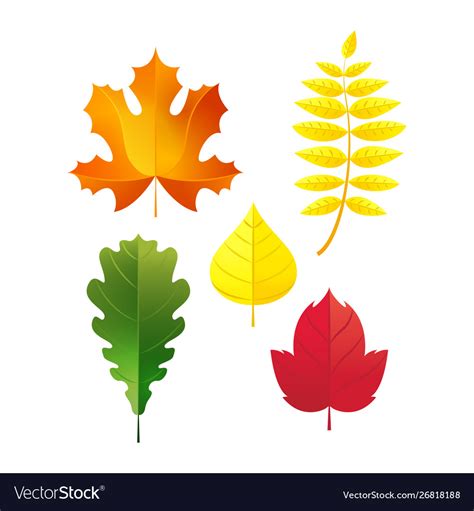 Autumn leaves set simple fall leaf cartoon flat Vector Image