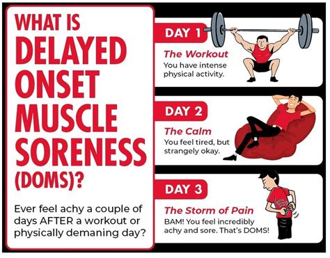 Delayed Onset Muscle Soreness (DOMS) • Bodybuilding Wizard