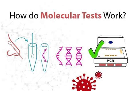 Molecular testing: its importance and uses in disease diagnostics