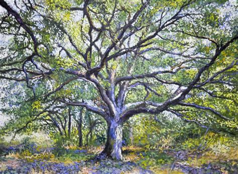 Oak Tree Paintings