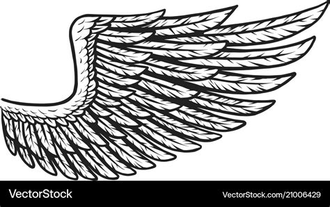 Vintage eagle wing template Royalty Free Vector Image