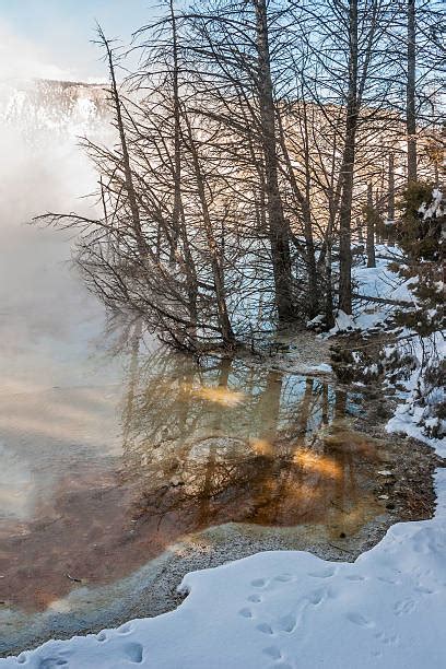 440+ Mammoth Hot Springs Winter Stock Photos, Pictures & Royalty-Free Images - iStock