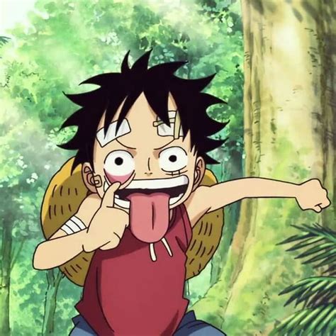 Luffy Pfp