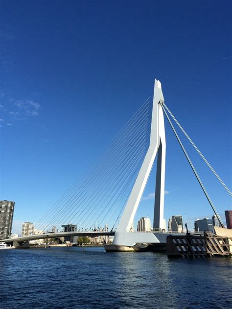 Erasmusbrug (Erasmus Bridge) Rotterdam Free Photo Download | FreeImages