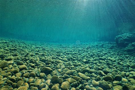 Pebbles Underwater in River with Clear Freshwater Stock Image - Image of caledonie, light: 81222999