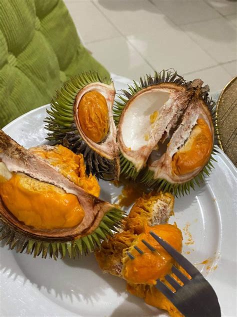 Smelly Durian but it's packed with nutrients - The Creed Guy