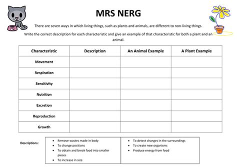 MRS GREN worksheet by Woffles92 - Teaching Resources - TES