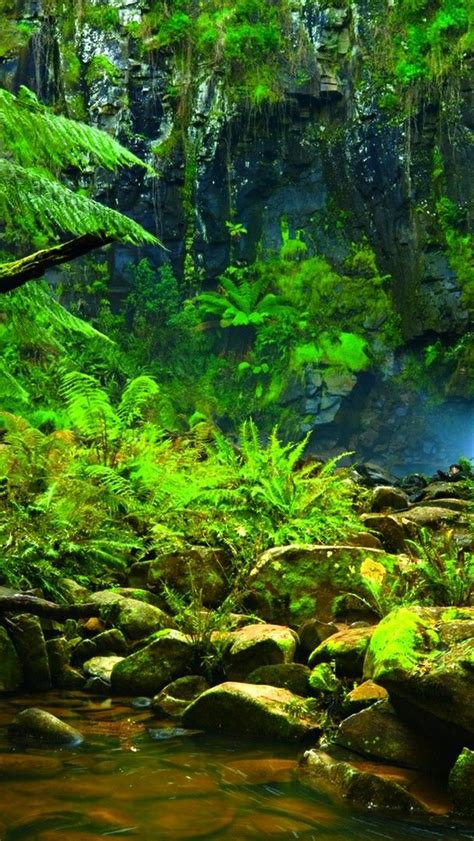 Amazon Rainforest waterfall - backiee