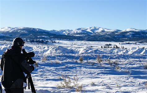 How to visit Lamar Valley on a Winter Trip to Yellowstone National Park ...