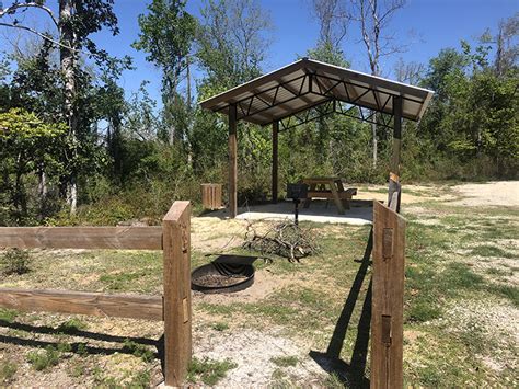 Explore Blue Spring recreation area along Econfina Creek - Walton Outdoors