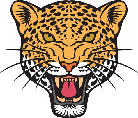 Jaguar face - animal head color. Vector illustration. 12867351 Vector Art at Vecteezy