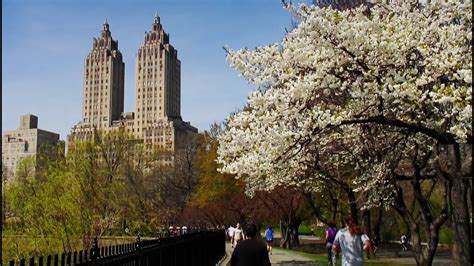 Central Park during Spring Day, New York City - YouTube