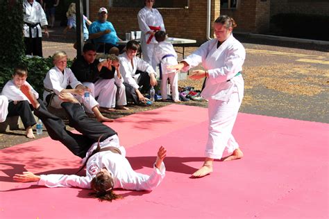 Karate Demonstration at Pennridge Gallery of the Arts – Shuto Karate ...