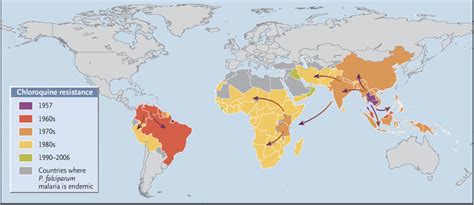 The Origins of Antimalarial-Drug Resistance | NEJM