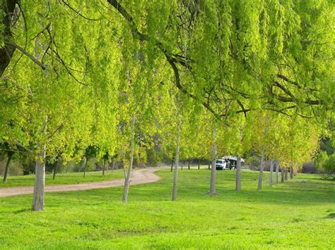 Wee Jasper - Visit Yass Valley