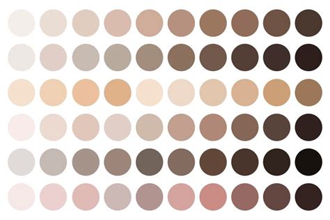 Premium Vector | Skin tones beige palette fundamentals of complexion shades samples of makeup ...