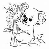 Koala Coloring Pages sketch template