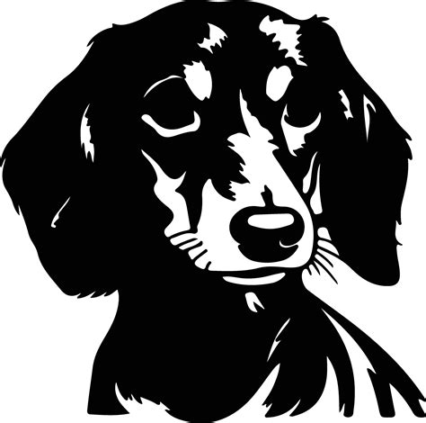 Dachshund silhouette portrait 38491780 Vector Art at Vecteezy