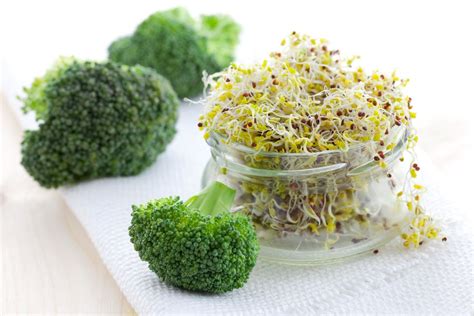 Broccoli sprouts: a guide to growing your own - Plantura