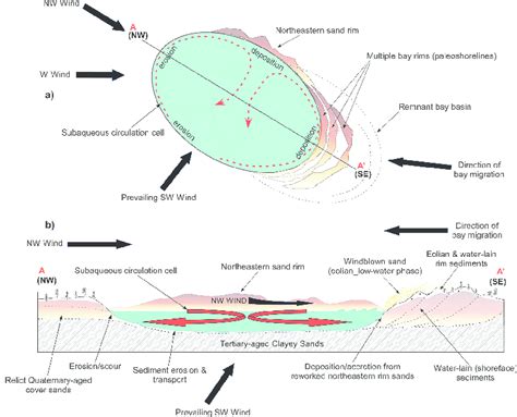 Carolina bay formation and migration model based on earlier models by ...