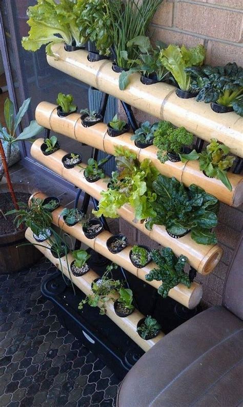 Brilliant Indoor Aquaponics System to Beautify Your Entire House ...