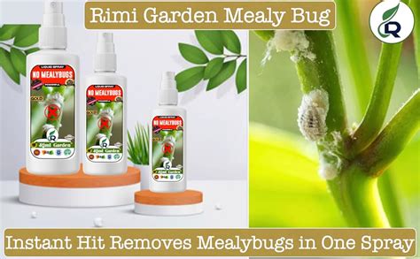 Rimi Garden® No Mealybug spray for removing mealybugs from the plant ...