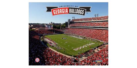 Georgia Bulldogs Stadium 8" x 10"