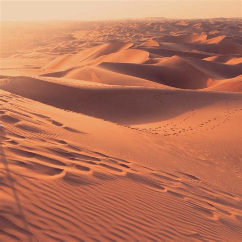 Liwa desert, Abu Dhabi | Deserto