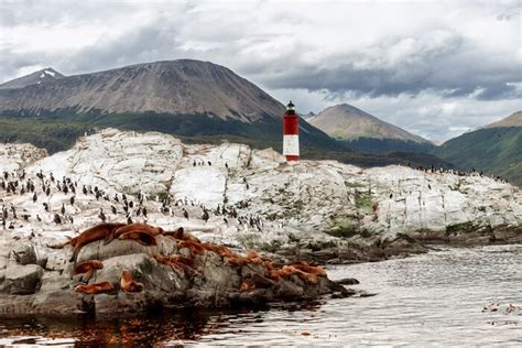 Iconic Southern Patagonia & Tierra del Fuego: Wildlife, Hikes & Glaciers - 13 Days | kimkim