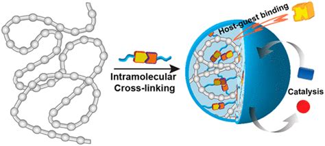 Intramolecularly Cross-Linked Polymers: From Structure to Function with ...