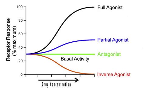 Agonist, Partial Agonist, Antagonist, Inverse Agonist