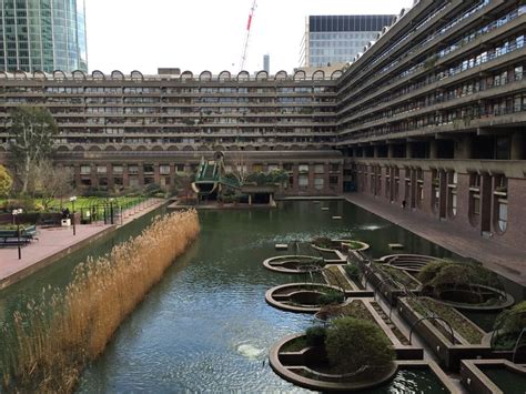 PHOTO GALLERY: Barbican Conservatory, London | Jack Wallington Garden Design, Clapham in London