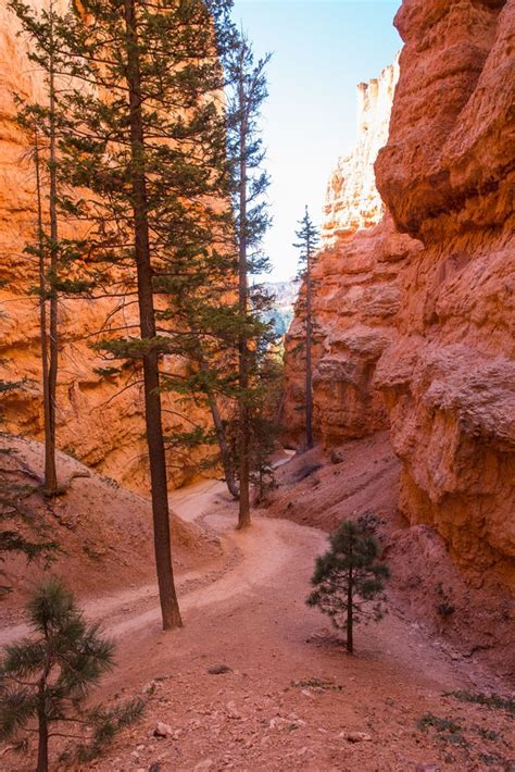 Hiking Bryce Canyon: Queens Garden and Navajo Loop Trails | Earth Trekkers