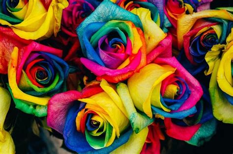 Different colored flowers hold different meanings – The Talon