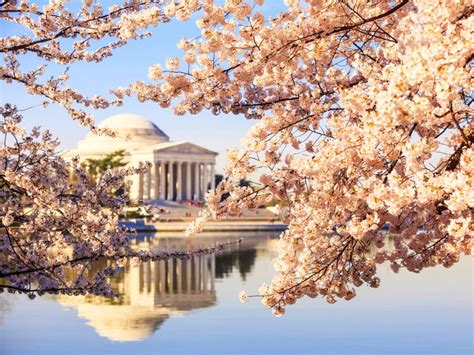 National Cherry Blossom Festival : Arts and Culture : TravelChannel.com ...